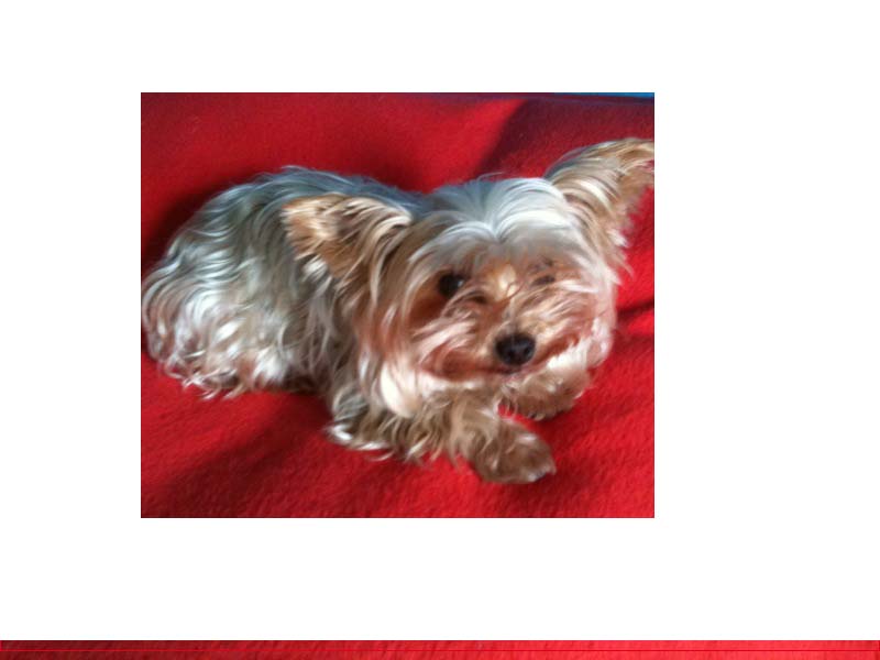 "Was möchte ich jetzt am liebsten - essen?"