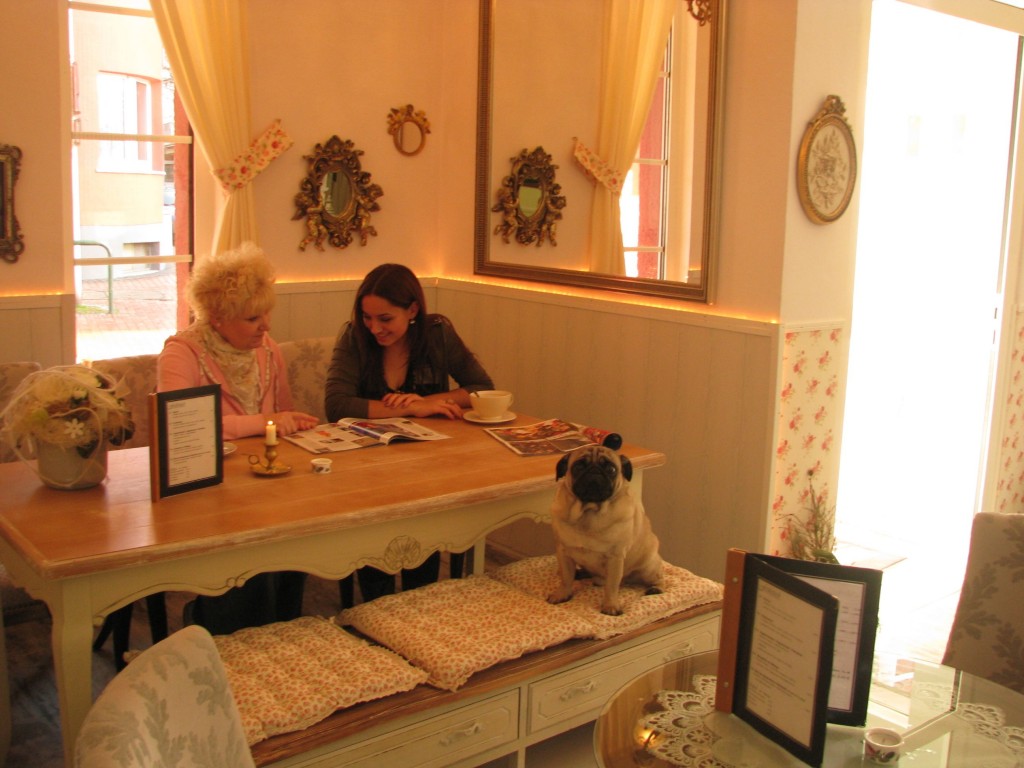"Der Hund vom Friseur"...Blick ins Cafe bei Maleeqs Hairlounge
